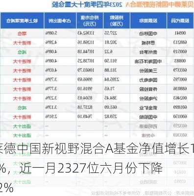 贝莱德中国新视野混合A基金净值增长1.32%，近一月2327位六月份下降4.02%-第1张图片-苏希特新能源