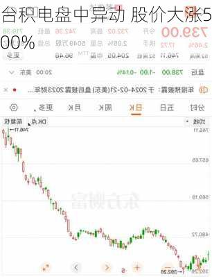 台积电盘中异动 股价大涨5.00%-第1张图片-苏希特新能源