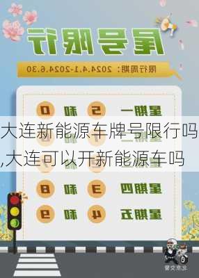 大连新能源车牌号限行吗,大连可以开新能源车吗-第3张图片-苏希特新能源