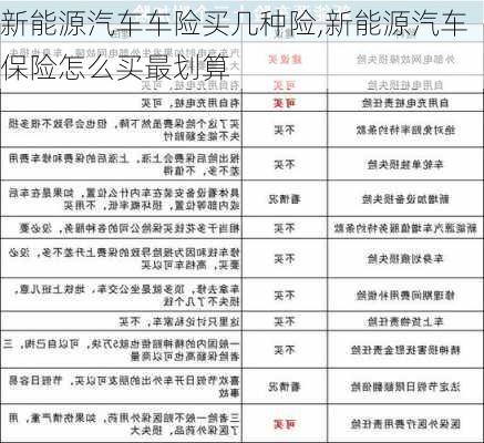 新能源汽车车险买几种险,新能源汽车保险怎么买最划算-第2张图片-苏希特新能源