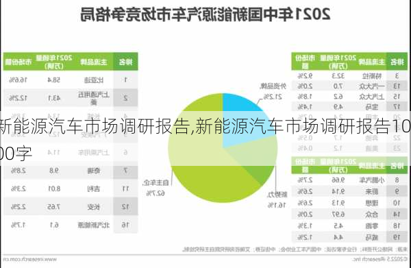 新能源汽车市场调研报告,新能源汽车市场调研报告1000字-第1张图片-苏希特新能源