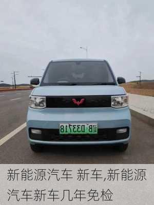 新能源汽车 新车,新能源汽车新车几年免检-第2张图片-苏希特新能源