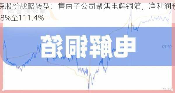 道森股份战略转型：售两子公司聚焦电解铜箔，净利润预增73.8%至111.4%-第2张图片-苏希特新能源