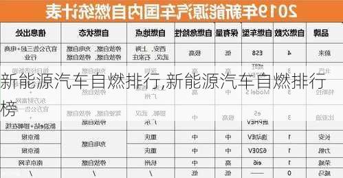 新能源汽车自燃排行,新能源汽车自燃排行榜-第2张图片-苏希特新能源