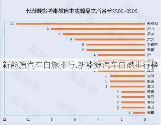 新能源汽车自燃排行,新能源汽车自燃排行榜-第3张图片-苏希特新能源