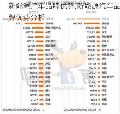 新能源汽车品牌优势,新能源汽车品牌优势分析-第2张图片-苏希特新能源