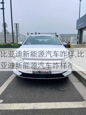 比亚迪新能源汽车咋样,比亚迪新能源汽车咋样?-第1张图片-苏希特新能源