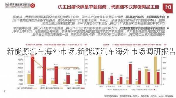 新能源汽车海外市场,新能源汽车海外市场调研报告-第2张图片-苏希特新能源