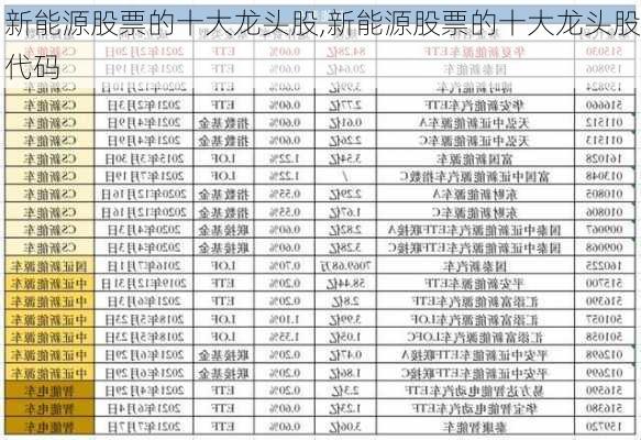 新能源股票的十大龙头股,新能源股票的十大龙头股代码-第3张图片-苏希特新能源