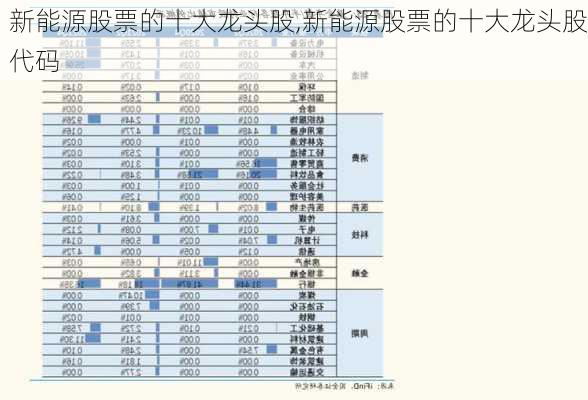 新能源股票的十大龙头股,新能源股票的十大龙头股代码