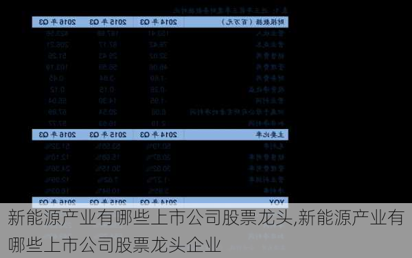 新能源产业有哪些上市公司股票龙头,新能源产业有哪些上市公司股票龙头企业-第2张图片-苏希特新能源