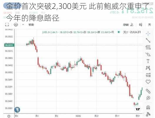 金价首次突破2,300美元 此前鲍威尔重申了今年的降息路径-第3张图片-苏希特新能源