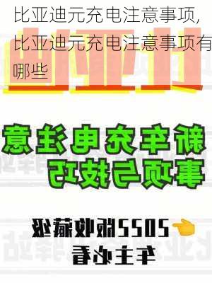 比亚迪元充电注意事项,比亚迪元充电注意事项有哪些-第2张图片-苏希特新能源