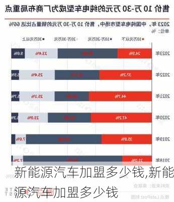 新能源汽车加盟多少钱,新能源汽车加盟多少钱-第2张图片-苏希特新能源