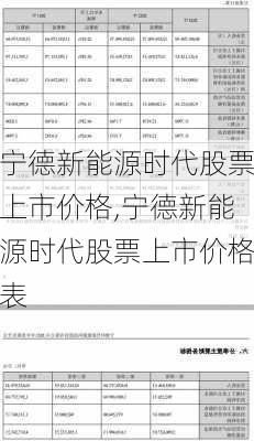 宁德新能源时代股票上市价格,宁德新能源时代股票上市价格表-第3张图片-苏希特新能源