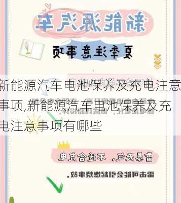 新能源汽车电池保养及充电注意事项,新能源汽车电池保养及充电注意事项有哪些-第3张图片-苏希特新能源