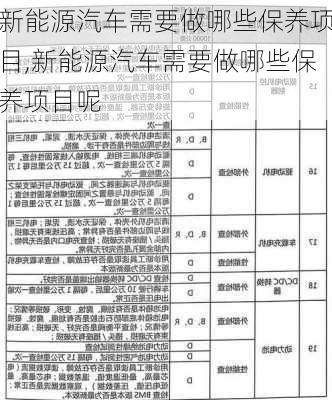 新能源汽车需要做哪些保养项目,新能源汽车需要做哪些保养项目呢-第2张图片-苏希特新能源