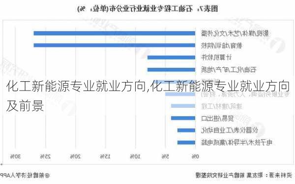 化工新能源专业就业方向,化工新能源专业就业方向及前景-第2张图片-苏希特新能源