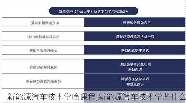 新能源汽车技术学啥课程,新能源汽车技术学些什么-第1张图片-苏希特新能源