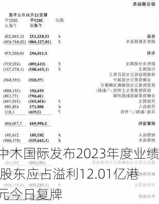 中木国际发布2023年度业绩 股东应占溢利12.01亿港元今日复牌