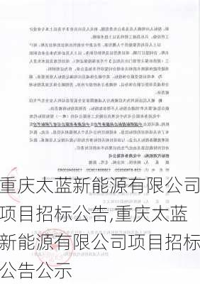 重庆太蓝新能源有限公司项目招标公告,重庆太蓝新能源有限公司项目招标公告公示