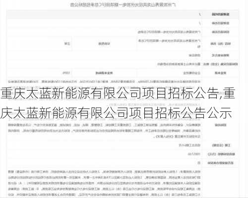 重庆太蓝新能源有限公司项目招标公告,重庆太蓝新能源有限公司项目招标公告公示-第2张图片-苏希特新能源