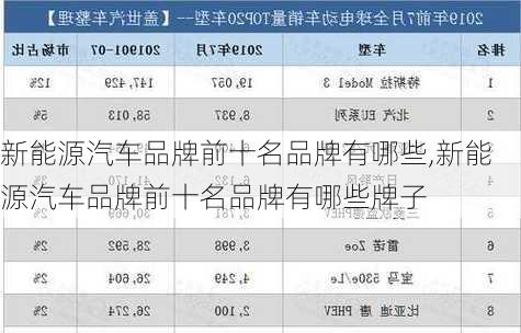 新能源汽车品牌前十名品牌有哪些,新能源汽车品牌前十名品牌有哪些牌子-第3张图片-苏希特新能源