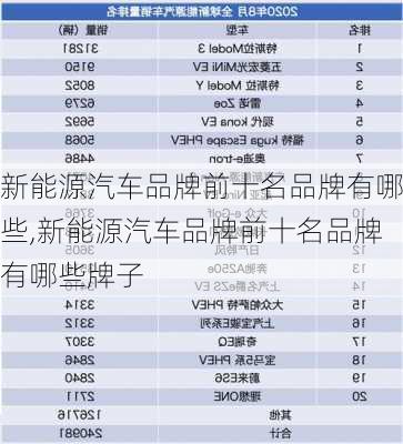 新能源汽车品牌前十名品牌有哪些,新能源汽车品牌前十名品牌有哪些牌子-第2张图片-苏希特新能源