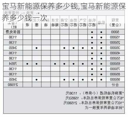 宝马新能源保养多少钱,宝马新能源保养多少钱一次-第1张图片-苏希特新能源