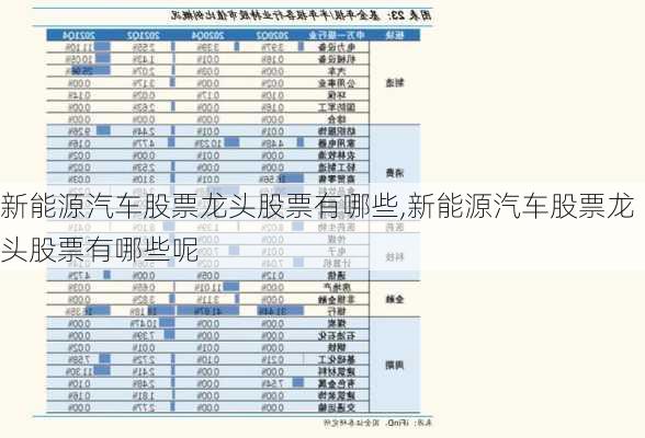 新能源汽车股票龙头股票有哪些,新能源汽车股票龙头股票有哪些呢-第1张图片-苏希特新能源