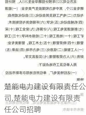 楚能电力建设有限责任公司,楚能电力建设有限责任公司招聘-第2张图片-苏希特新能源