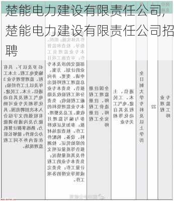 楚能电力建设有限责任公司,楚能电力建设有限责任公司招聘-第3张图片-苏希特新能源