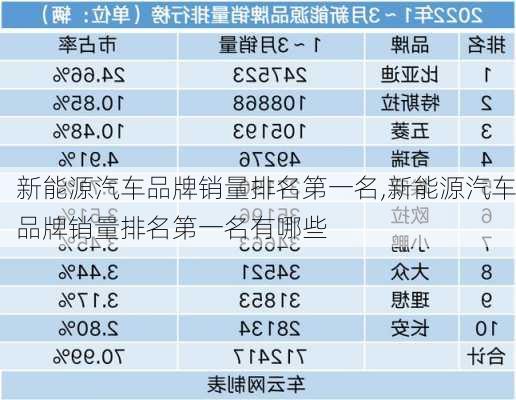 新能源汽车品牌销量排名第一名,新能源汽车品牌销量排名第一名有哪些