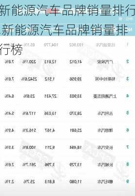 新能源汽车品牌销量排行,新能源汽车品牌销量排行榜