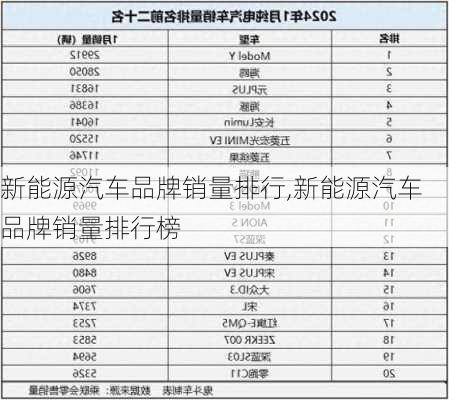 新能源汽车品牌销量排行,新能源汽车品牌销量排行榜-第2张图片-苏希特新能源