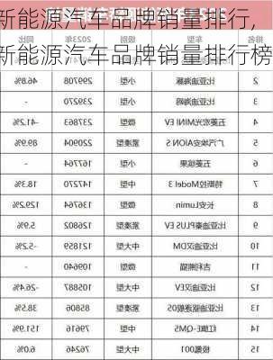 新能源汽车品牌销量排行,新能源汽车品牌销量排行榜-第3张图片-苏希特新能源