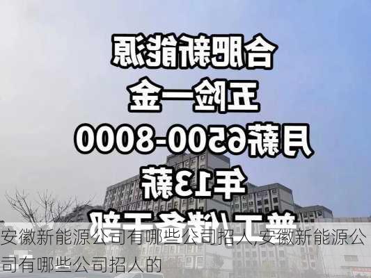 安徽新能源公司有哪些公司招人,安徽新能源公司有哪些公司招人的-第1张图片-苏希特新能源