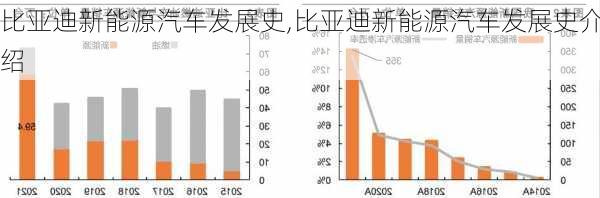 比亚迪新能源汽车发展史,比亚迪新能源汽车发展史介绍-第2张图片-苏希特新能源