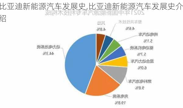 比亚迪新能源汽车发展史,比亚迪新能源汽车发展史介绍-第3张图片-苏希特新能源