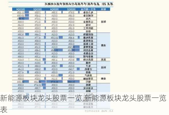 新能源板块龙头股票一览,新能源板块龙头股票一览表-第1张图片-苏希特新能源