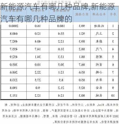 新能源汽车有哪几种品牌,新能源汽车有哪几种品牌的-第1张图片-苏希特新能源