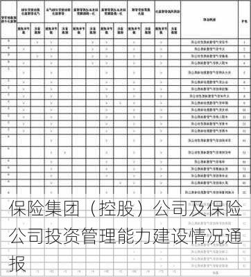 保险集团（控股）公司及保险公司投资管理能力建设情况通报-第1张图片-苏希特新能源