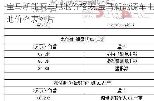 宝马新能源车电池价格表,宝马新能源车电池价格表图片-第2张图片-苏希特新能源