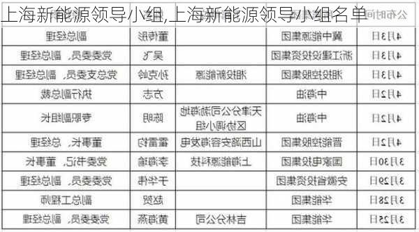 上海新能源领导小组,上海新能源领导小组名单-第1张图片-苏希特新能源