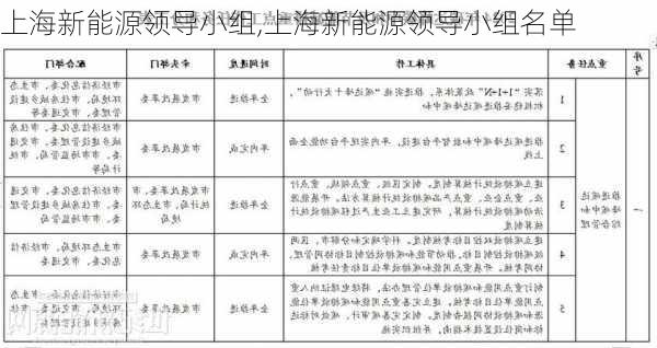 上海新能源领导小组,上海新能源领导小组名单-第2张图片-苏希特新能源