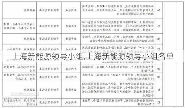 上海新能源领导小组,上海新能源领导小组名单-第3张图片-苏希特新能源