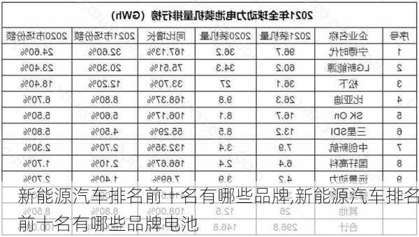 新能源汽车排名前十名有哪些品牌,新能源汽车排名前十名有哪些品牌电池-第3张图片-苏希特新能源