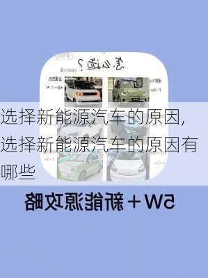 选择新能源汽车的原因,选择新能源汽车的原因有哪些-第3张图片-苏希特新能源