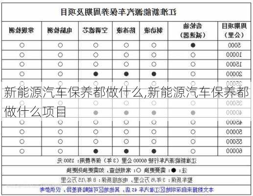 新能源汽车保养都做什么,新能源汽车保养都做什么项目-第3张图片-苏希特新能源