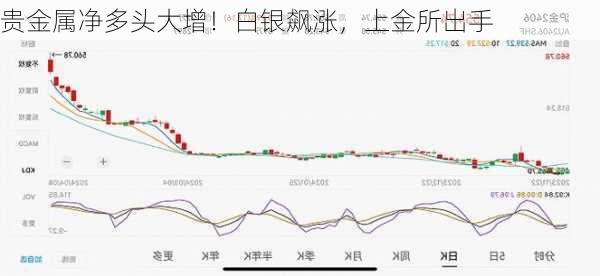 贵金属净多头大增！白银飙涨，上金所出手-第3张图片-苏希特新能源